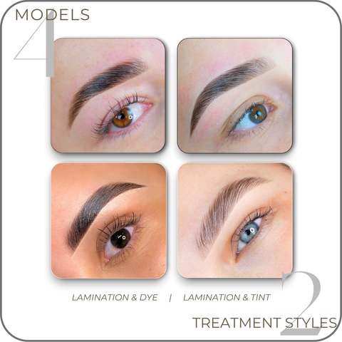 Lamination, Dye & Tint Masterclass - Ultimate Brow Course