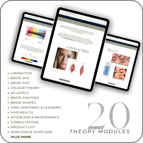 Lamination, Dye & Tint Masterclass - Ultimate Brow Course