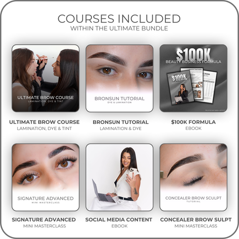 Ultimate Brows & Business Course